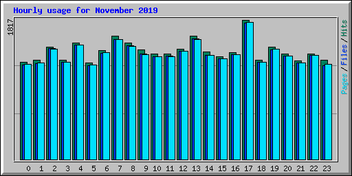 Hourly usage for November 2019